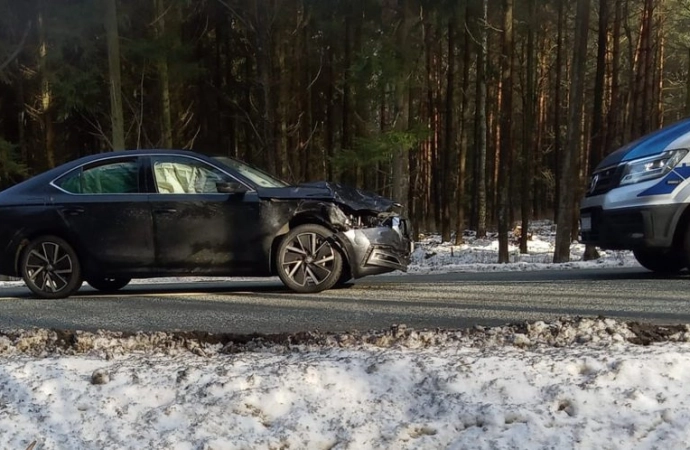 Policja apeluje o ostrożność podczas przejazdu przez tereny leśne.